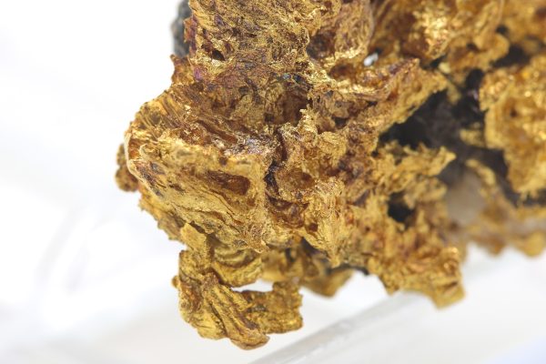 Gold – Bild 13