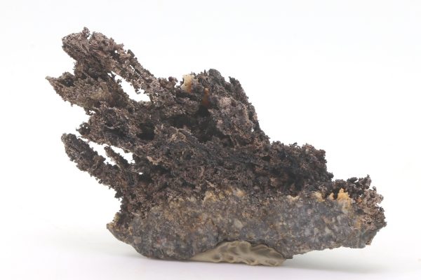 Silber – Bild 6