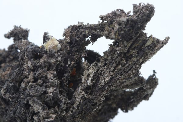 Silber – Bild 9