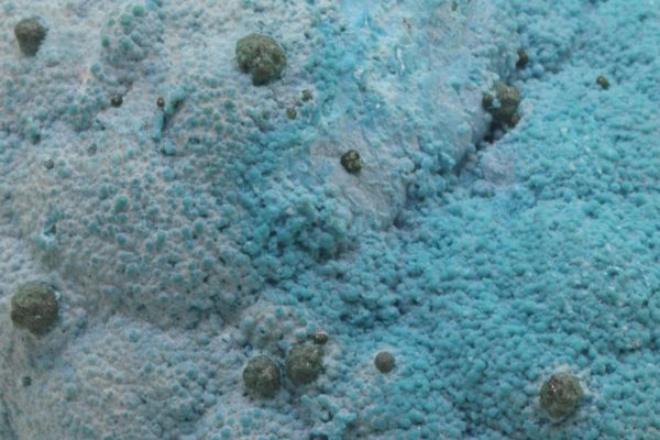 Chrysokoll, Malachit – Bild 7