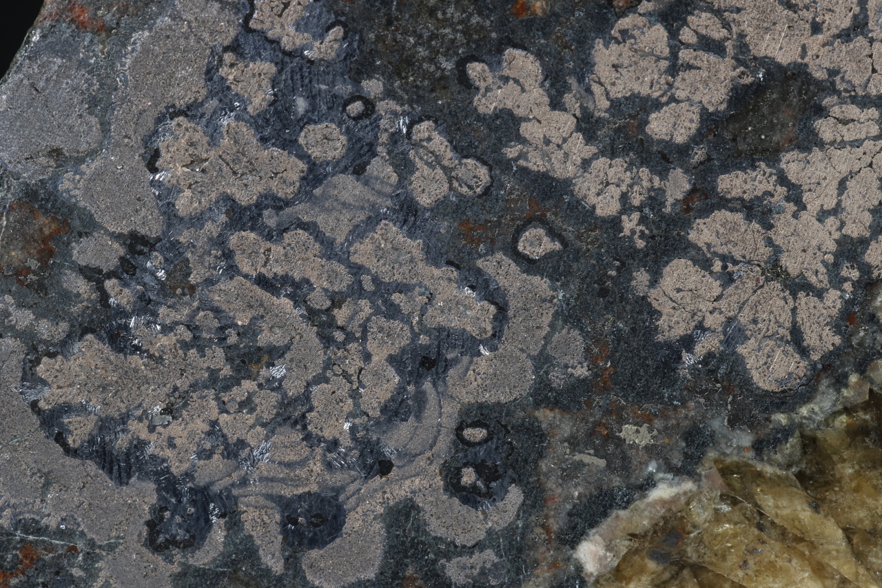 Nickelin, Millerit, Galenit – Bild 6