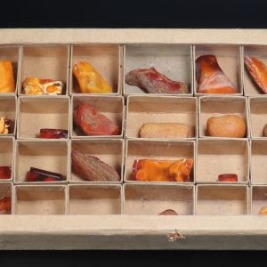 Bernstein mit Insekten