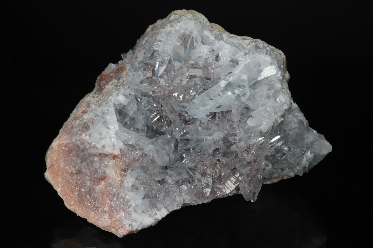 Cölestin – Bild 2