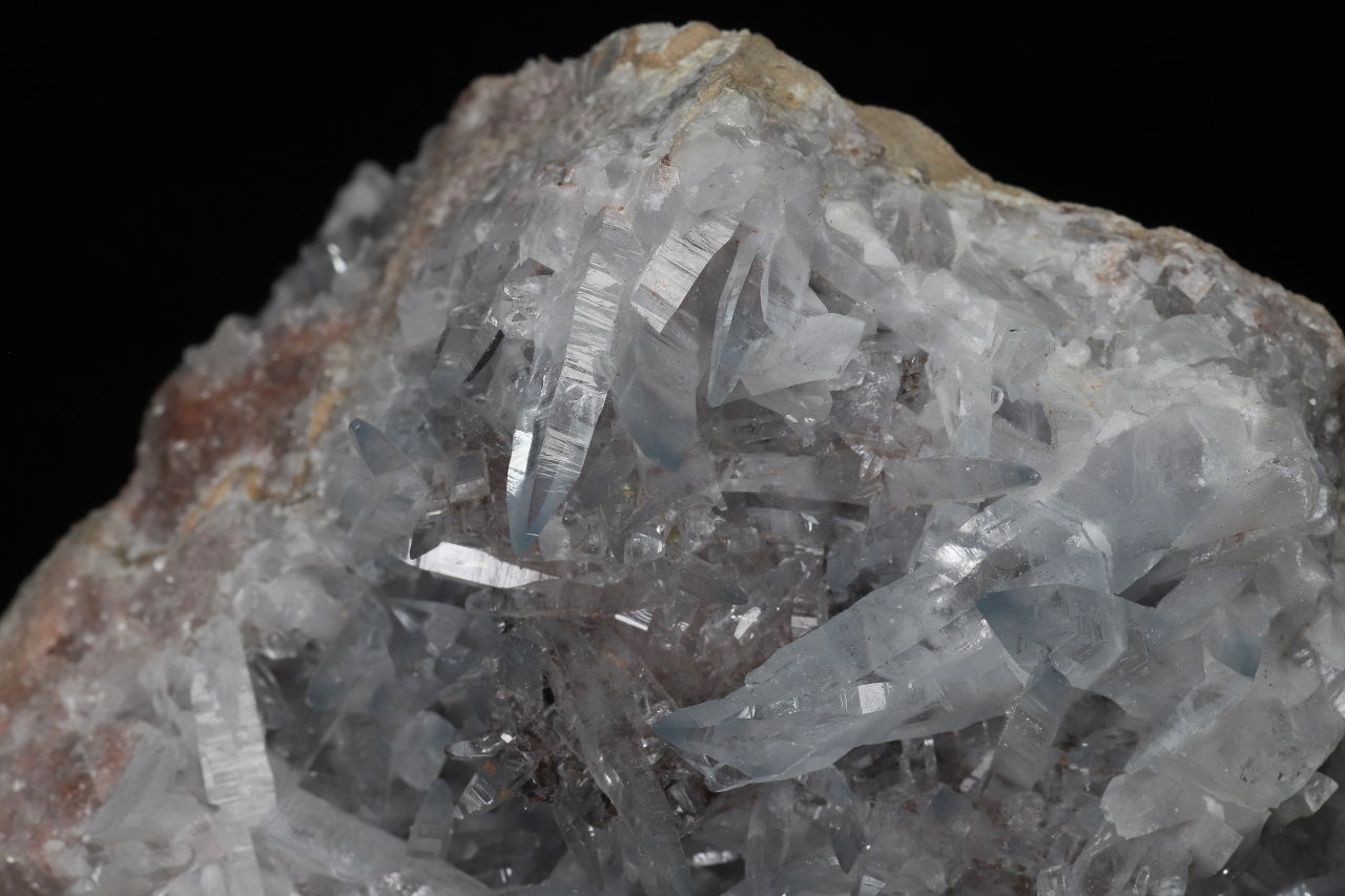 Cölestin – Bild 4