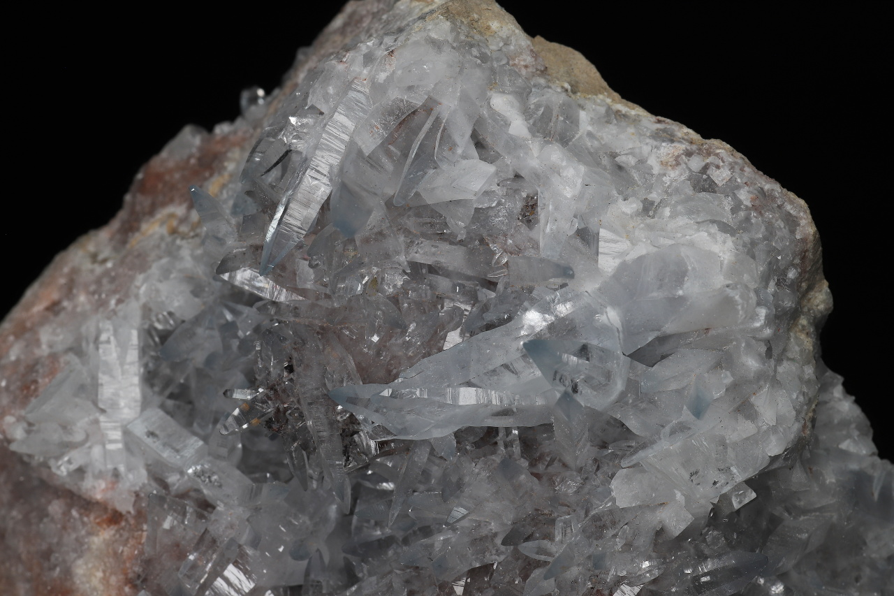 Cölestin – Bild 5