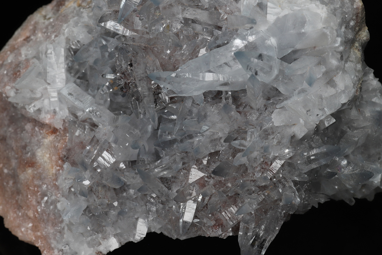 Cölestin – Bild 6