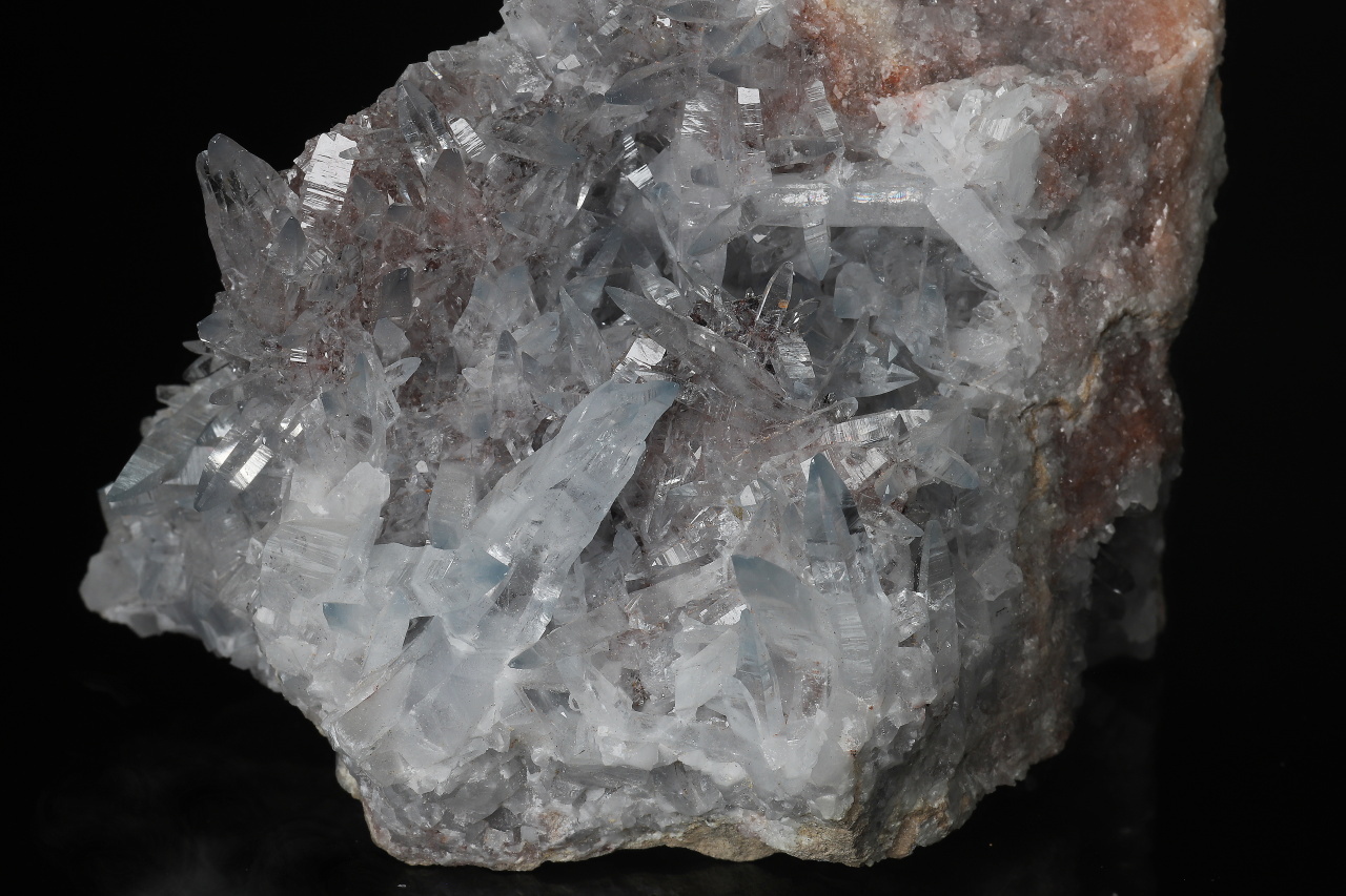 Cölestin – Bild 7