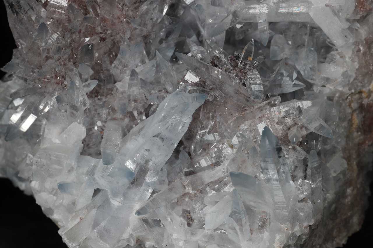 Cölestin – Bild 8