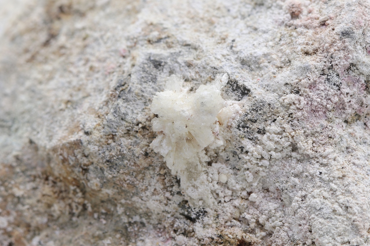 Pharmakolith. Pikropharmakolith, Brassit – Bild 4