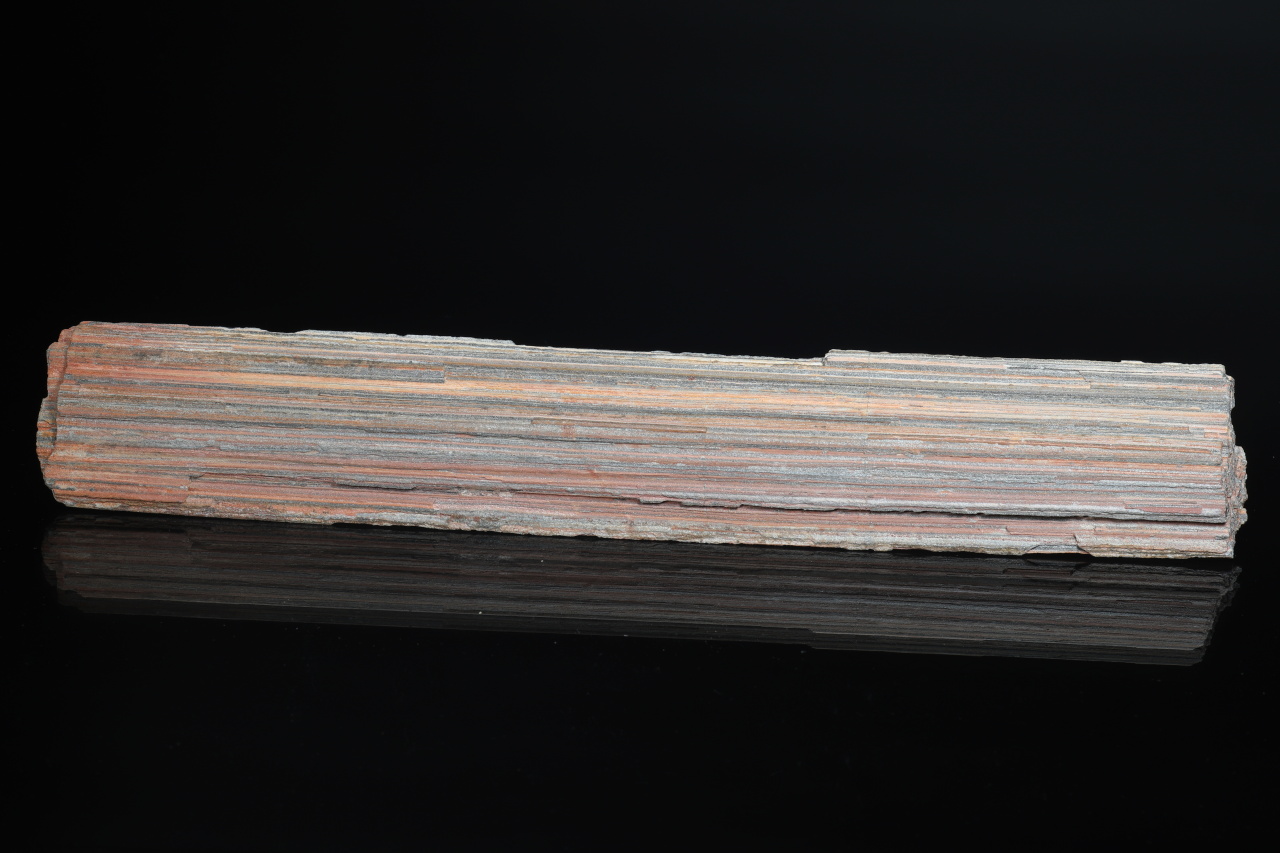 Stängeliger Schiefer