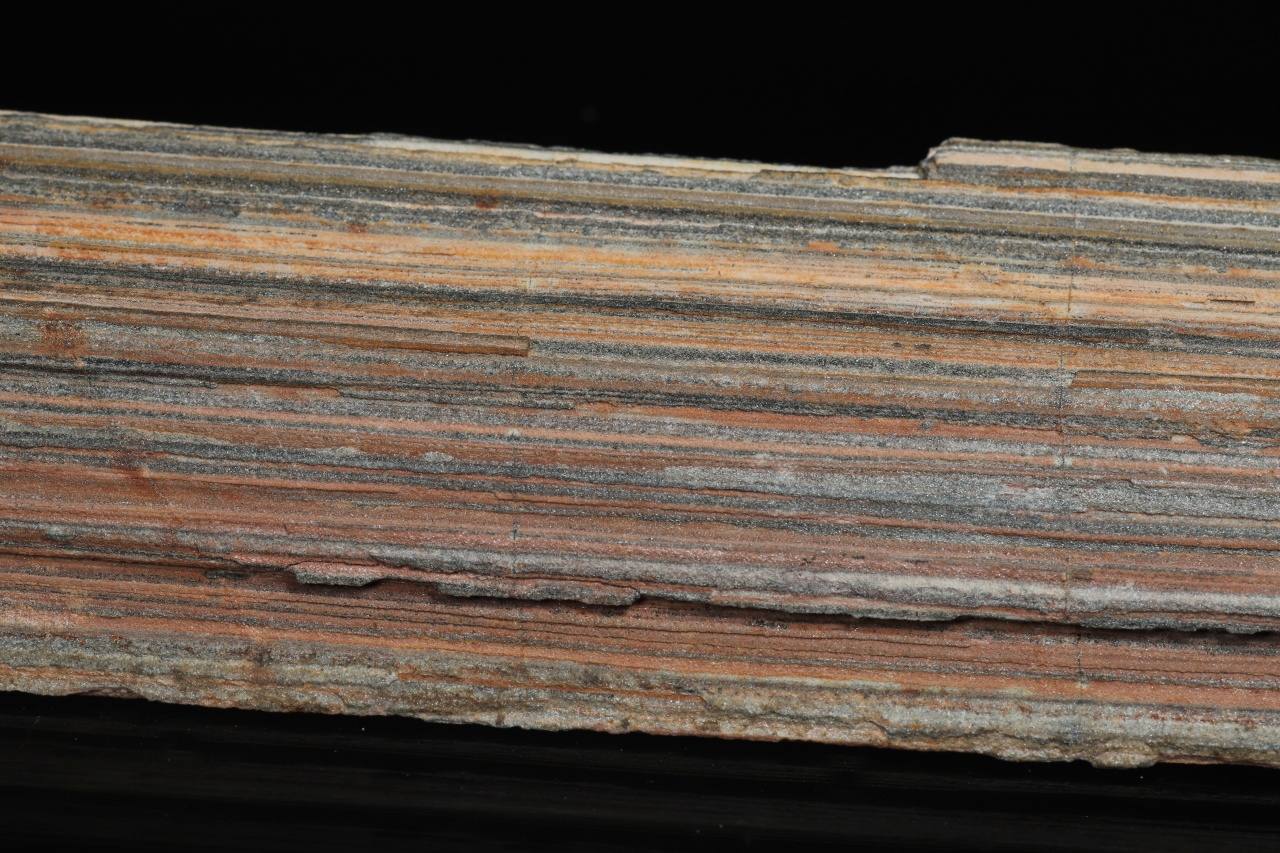 Stängeliger Schiefer – Bild 4