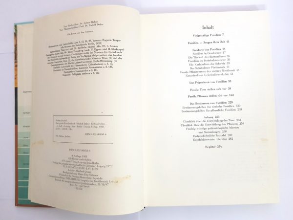 Das große Fossilienbuch – Bild 2