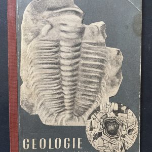 Geologie - Lehrbuch der Naturkunde für die 4. Klasse der Mittelschulen