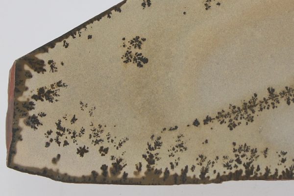 Porzellanit mit Dendriten – Bild 2