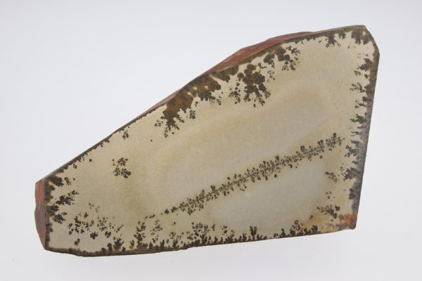 Porzellanit mit Dendriten