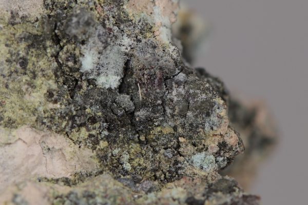 Parasymplesit – Bild 5
