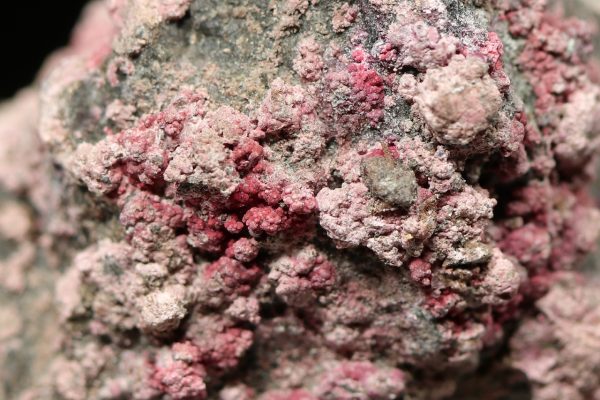 Erythrin – Bild 2