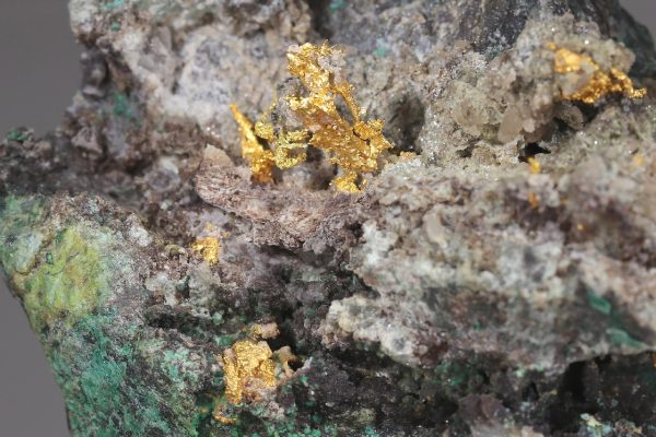 Gold – Bild 7