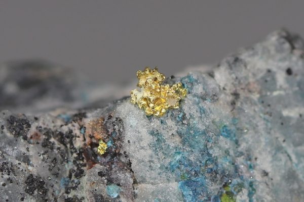 Gold