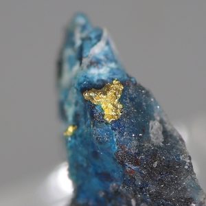Gold, Shattuckit