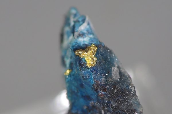 Gold, Shattuckit