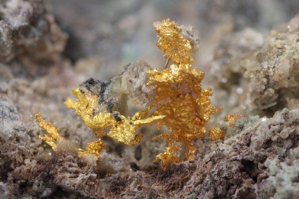 Gold – Bild 11
