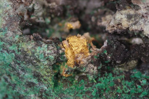 Gold – Bild 12