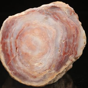 Quarzit