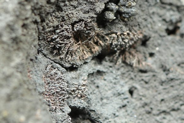 Proustit, Argentopyrit, Arsen, Silber – Bild 11