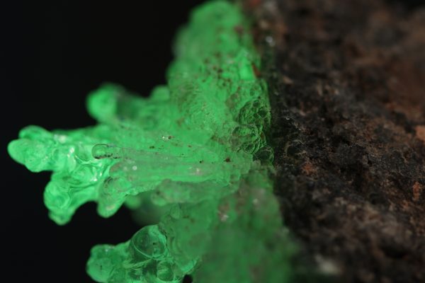 Hyalith – Bild 3