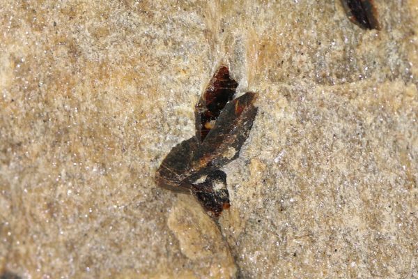 Staurolith – Bild 3