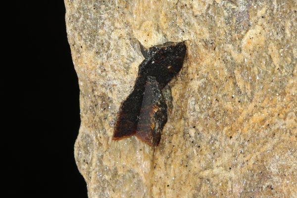 Staurolith – Bild 5