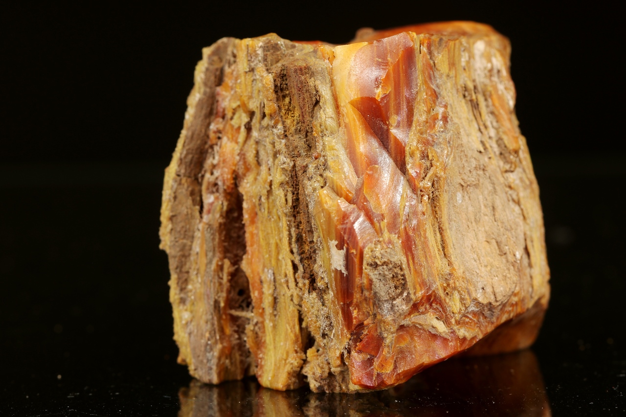 Holzopal – Bild 11