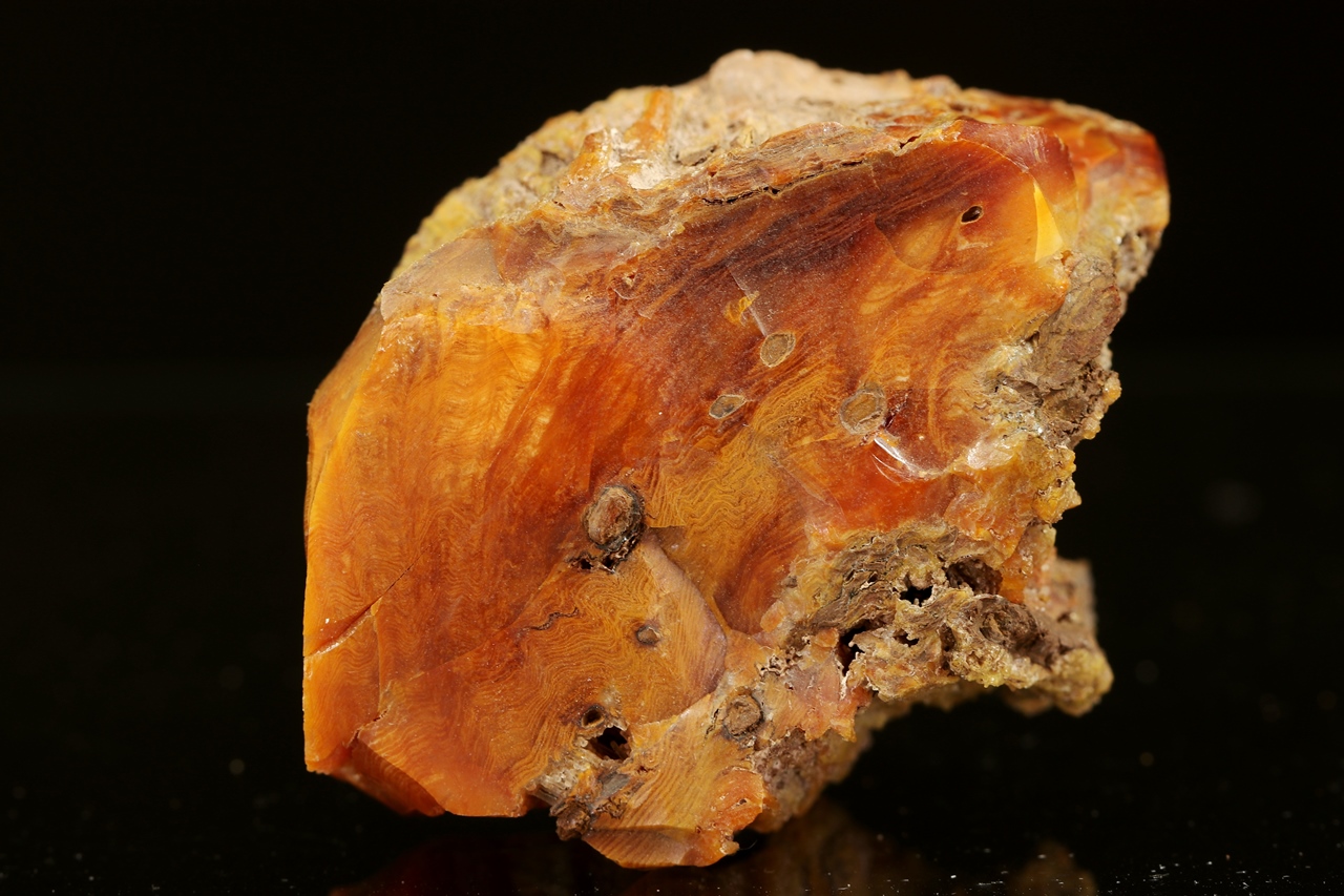 Holzopal – Bild 4