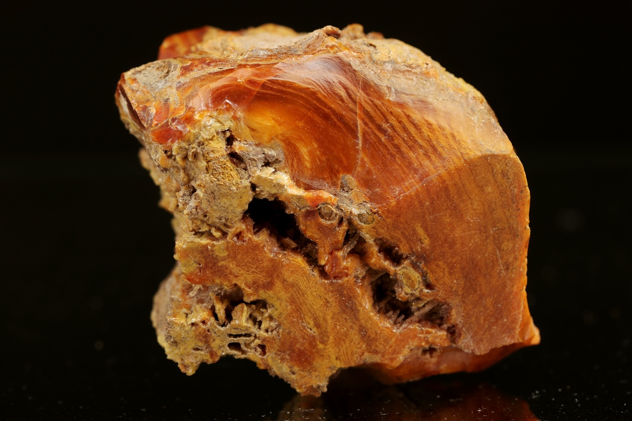 Holzopal