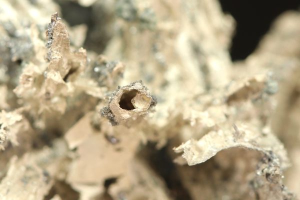 Silber – Bild 7