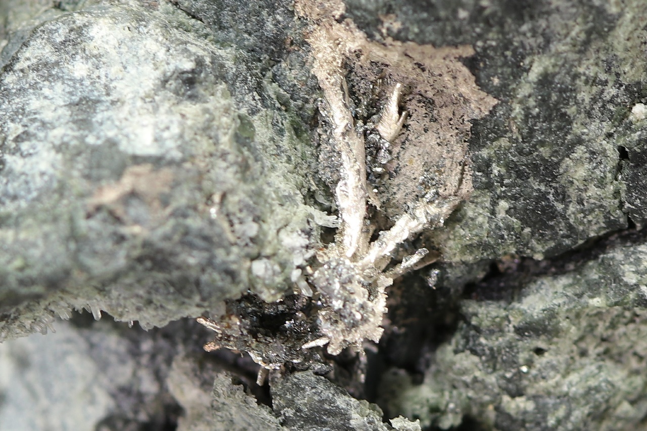 Stříbro; löllingit – Bild 7