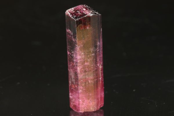 Elbait – Bild 4