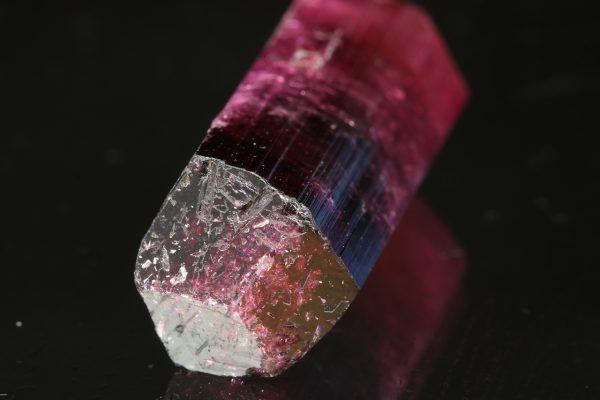 Elbait – Bild 5