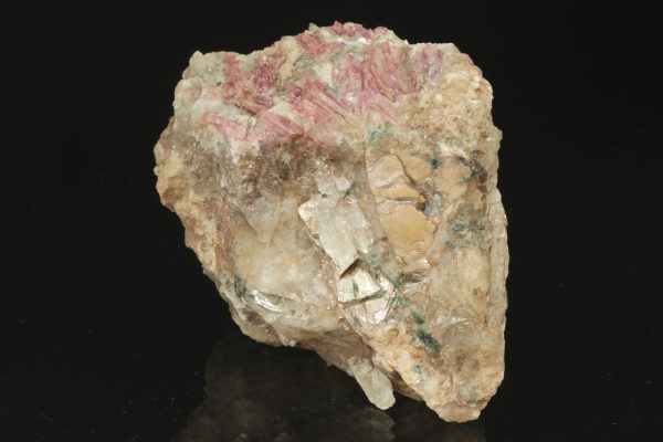 Elbait – Bild 4