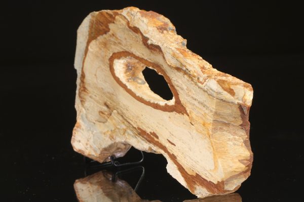 Limnokvarzit – Bild 2
