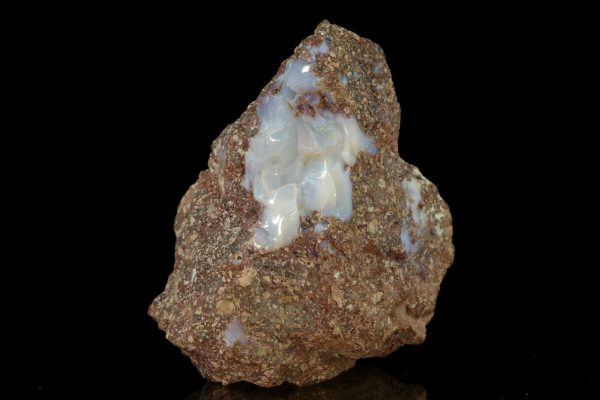Edelopal