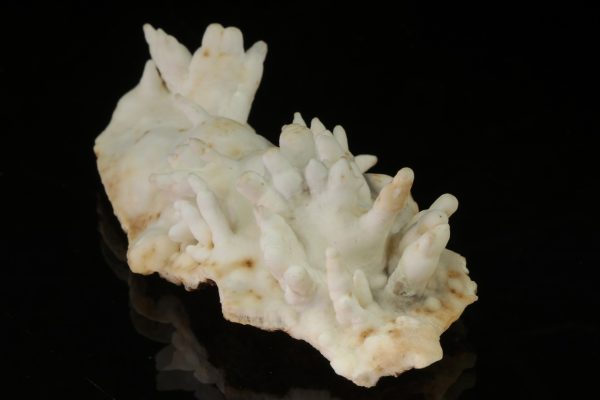 Aragonit – Bild 2