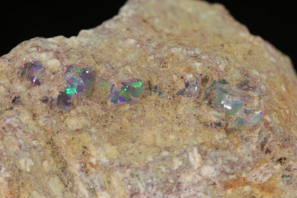 Edelopal