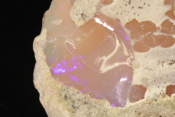 Edelopal
