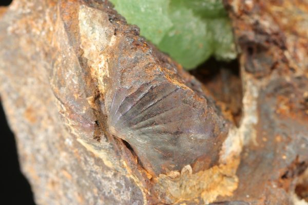 Anapaite – Bild 7
