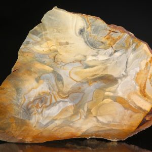 Limnoquarzit