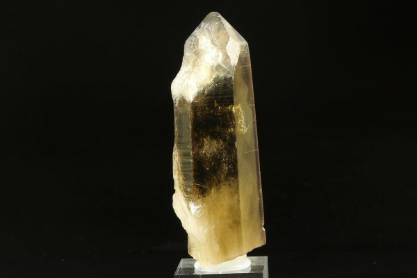 Citrin – Bild 3