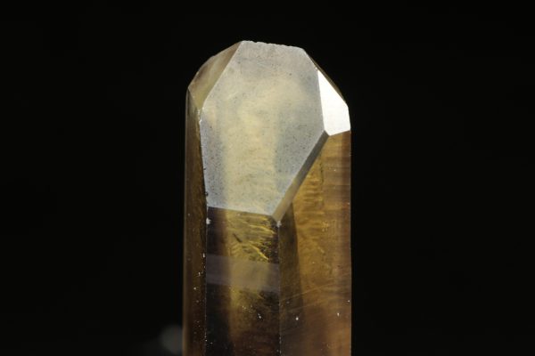 Citrin – Bild 6
