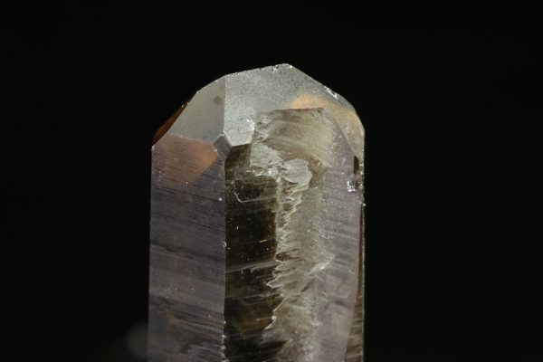 Citrin – Bild 7
